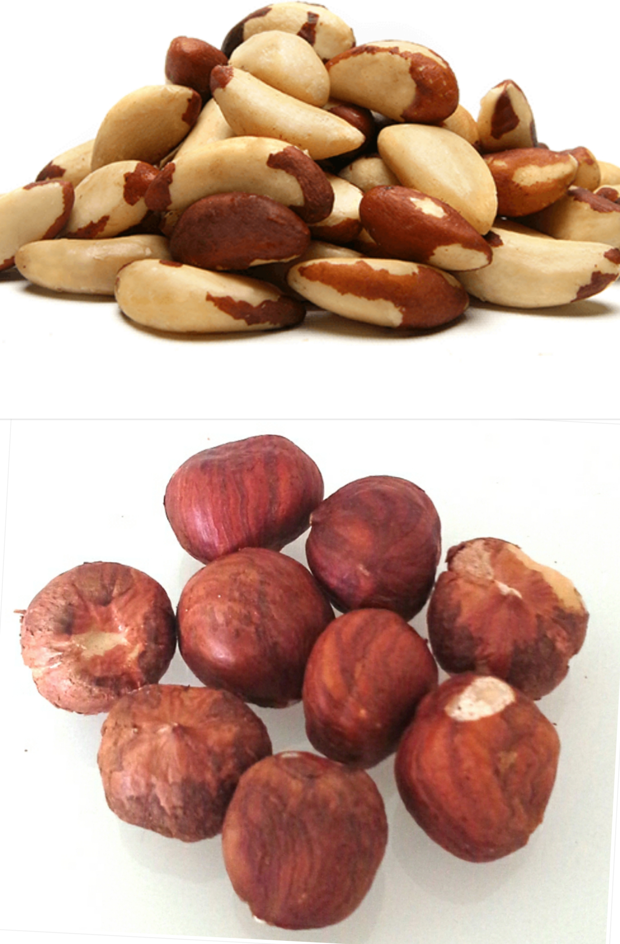 Lískové ořechy 1kg + para ořechy 1kg