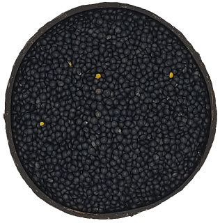Černá čočka Beluga 1kg